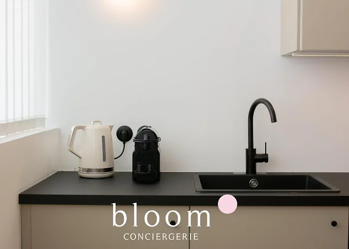 Appartement Le Loft De Standing De Foch Nancy